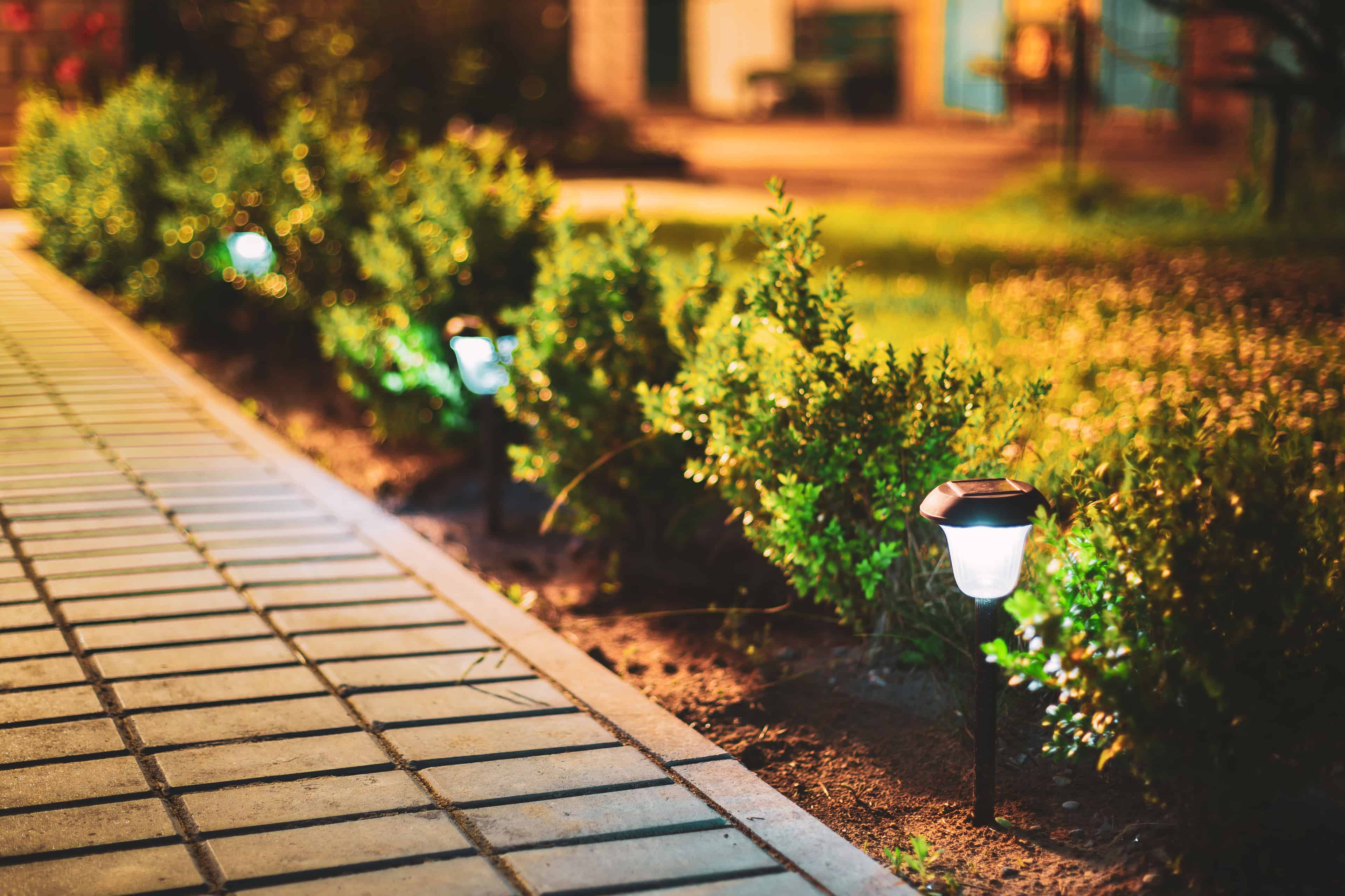 Landscape Lighting Installation image